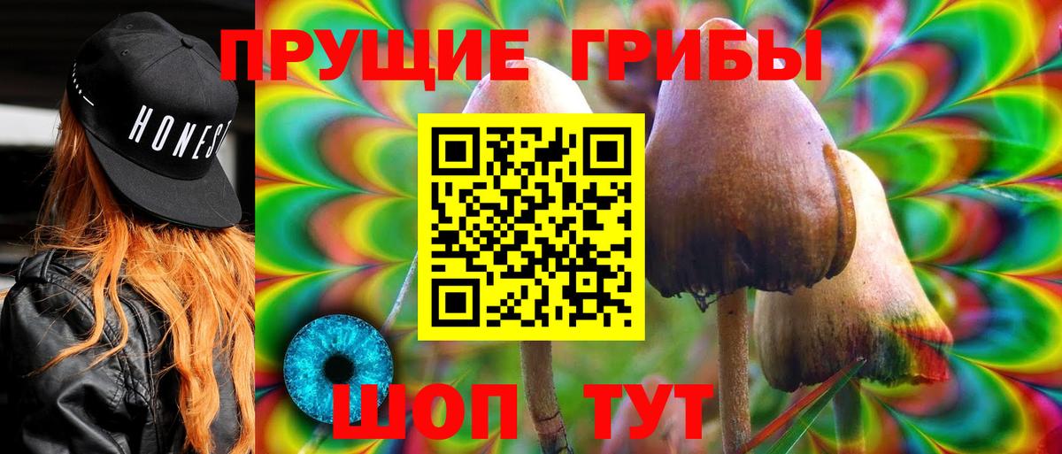 закладки  Псилоцибиновые грибы Cubensis  Псилоцибиновые грибы мицелий  Вход с VPN  Богданович 